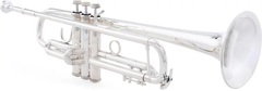 Bach 190 Stradivarius Professional Bb Trumpet - Silver-Plated with 43 Bell
