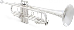 Bach 180 Stradivarius Professional Bb Trumpet - Silver-Plated with 43 Bell
