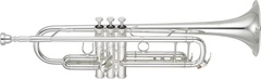 Yamaha YTR-8335IIGS Xeno Professional Bb Trumpet - Silver-plated with Gold Brass Bell