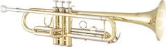 Prelude TR711 Student Bb Trumpet - Lacquer