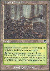 Hickory Woodlot - Foil