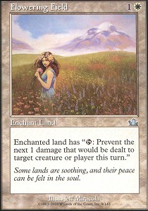 Flowering Field - Foil