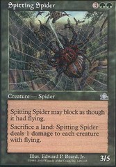 Spitting Spider - Foil