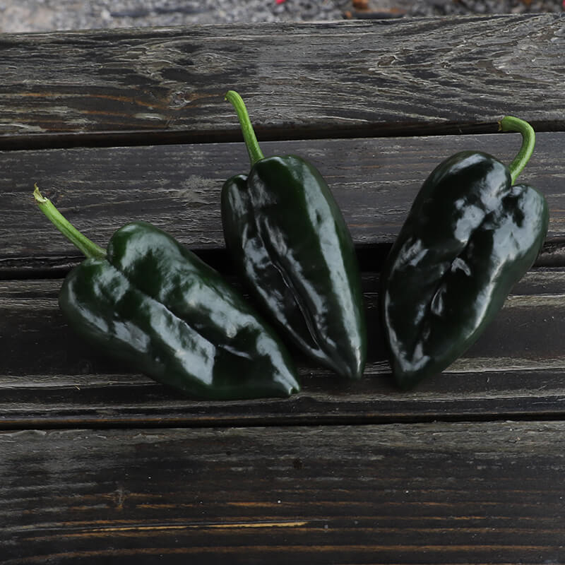 Pepper Marques F1 Seed