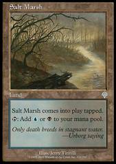 Salt Marsh - Foil