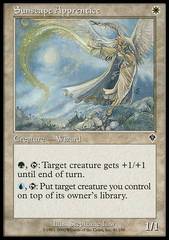 Sunscape Apprentice - Foil