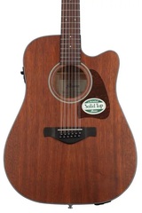 Ibanez AW5412CE Acoustic-Electric Guitar - Open Pore Natural
