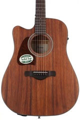 Ibanez AW54LCE Acoustic-Electric Guitar - Open Pore Natural