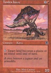 Tundra Kavu - Foil