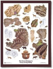 The Landmark Project - Smokey Bear Educational Poster - ANIMAL TRACKS