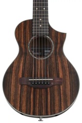 Ibanez EWP13 Acoustic Guitar - Dark Brown Open Pore