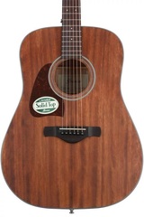 Ibanez AW54 Left-Handed Acoustic Guitar - Open Pore Natural