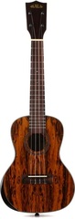 Kala KA-PX-BCT-C Premier Exotic Bocote Concert Ukulele
