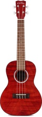 Cordoba 15CFM, Concert Ukulele - Rose Red