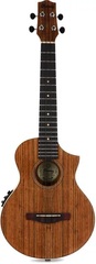 Ibanez UEWT14E Tenor Ukulele with Electronics and Cutaway - Natural