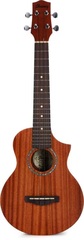 Ibanez UEW5 Acoustic Ukulele - Natural