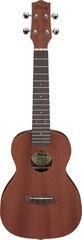 Ibanez UKC100 Concert Ukulele - Natural
