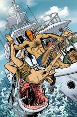 DEATHSTROKE INC #12 CVR C DAVID LAPHAM SWIMSUIT CARD STOCK VAR