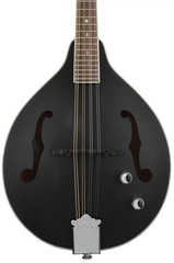 Luna Moonbird A-Style Acoustic-Electric Mandolin - Black Satin