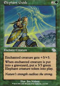 Elephant Guide - Foil