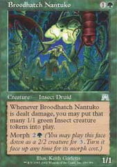 Broodhatch Nantuko - Foil