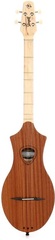 Seagull Guitars M4 Merlin Mountain Dulcimer - Mahogany
