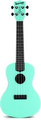 Kala Waterman Series Concert Ukulele - Sea Foam Green
