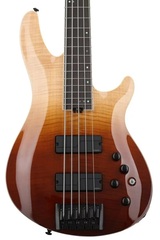 Schecter SLS Elite-5 Bass Guitar - Antique Fade Burst