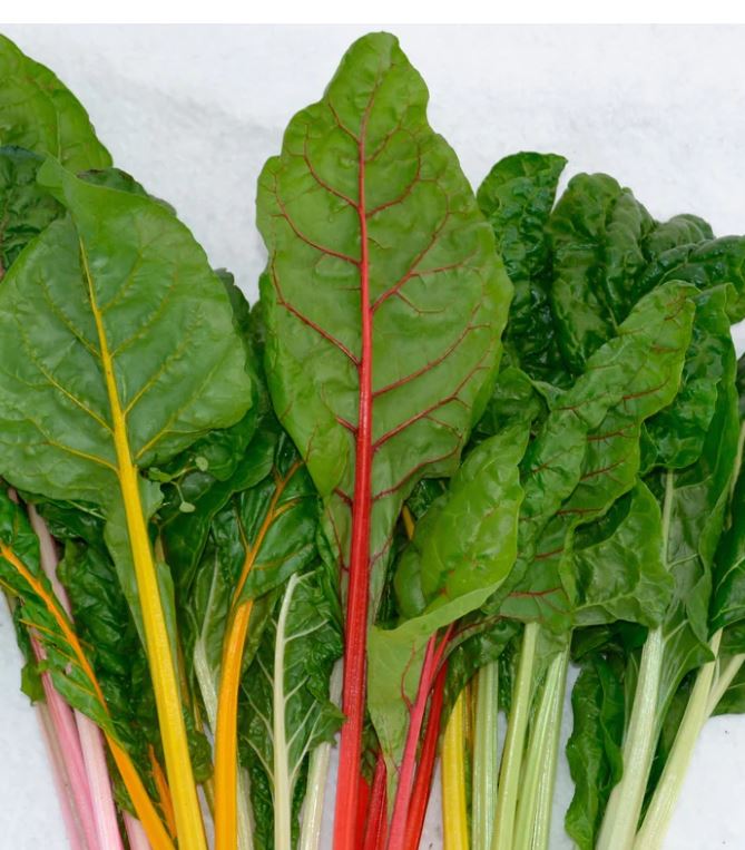 Rainbow Chard