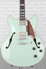 D'Angelico Deluxe DC Limited Edition Semi-hollowbody Electric Guitar - Sage