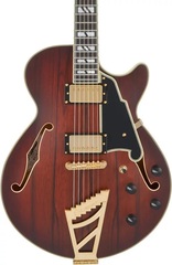 D'Angelico Deluxe SS Semi-hollowbody Electric Guitar - Satin Brown Burst