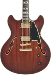 D'Angelico Deluxe DC Semi-hollowbody Electric Guitar - Satin Brown Burst
