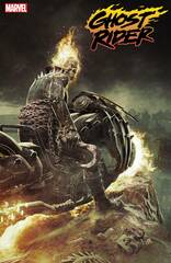 Ghost Rider #6 Barends Var (STL229468)