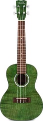 Cordoba 15CFM, Concert Ukulele - Jade Green