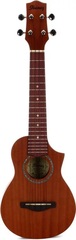 Ibanez UEWS5 Soprano Acoustic Ukulele - Natural Mahogany