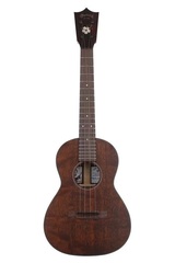 Martin 1T IZ Tenor Ukulele