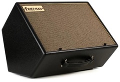 Friedman ASM-10 500-watt 1x10