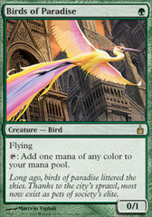 Birds of Paradise - Foil