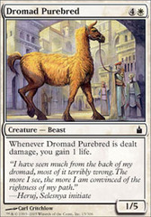 Dromad Purebred - Foil