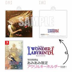 [AmiAmi Exclusive Bonus] [Bonus] Nintendo Switch Record of Lodoss War -Deedlit in Wonder Labyrinth-