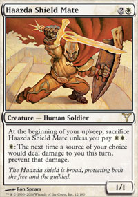 Haazda Shield Mate - Foil