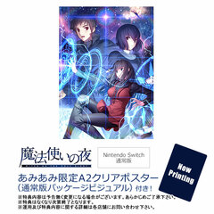 [AmiAmi Exclusive Bonus] Nintendo Switch Mahoutsukai no Yoru Regular Edition