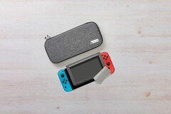 Starting Set Fabric Gray (For Switch)