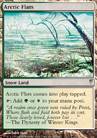 Arctic Flats - Foil