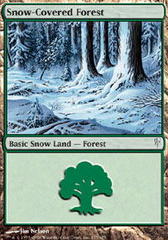 Snow-Covered Forest - Foil