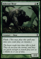 Ashcoat Bear - Foil