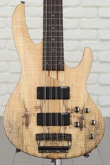 ESP LTD B-208SM Bass Guitar - Natural Satin