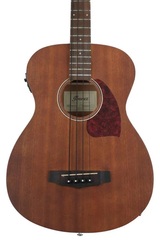 Ibanez PCBE12MH Acoustic-Electric Bass - Open Pore Natural