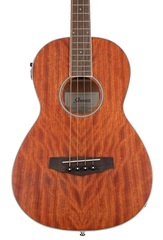 Ibanez PNB14E Acoustic-Electric Bass - Open Pore Natural