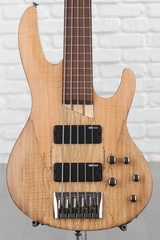 ESP LTD B-205SM Fretless Bass Guitar - Natural Satin